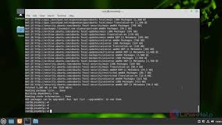 How to Install Code Blocks on Linux Mint 20