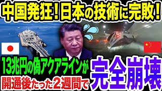 【中国大発狂！】自慢の海底トンネルがたった２週間で壊滅！日本のアクアラインとレベルが違い過ぎて中国涙目！《【海外の反応】 あっぱれジャパン🇯🇵》《with めぐみん🌸》