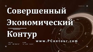 Проект Новой Экономической Системы. Совершенный Экономический Контур.