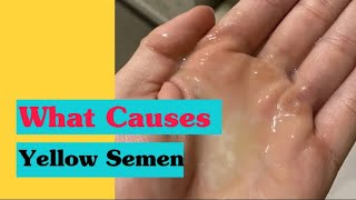 Yellow Semen|Causes|Symptom Checker