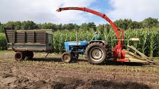 Oldtimer Hakseldag Espelo 2015 | 7 classic maize harvesters in action