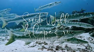 Chapter 7: Sorido Wall & Cape Kri - Raja Ampat #rajaampat #scubadiving
