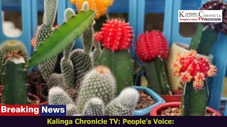 Kalinga Chronicle TV:  'Cactus Leather': An Environment-friendly Monumental Innovation from Mexico