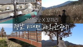 [꼬끼리 X 경상남도] 낄희 시선으로 바라본 경상남도의 비대면 자연명소 8곳🦋 랜선 콧바람 쐬는 영상