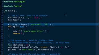 Reading your struct from a binary file