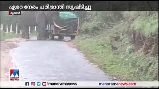 മൂന്നാറില്‍ വീണ്ടും ഭീതി പരത്തി ഒറ്റയാന്‍ പടയപ്പ | Munnar Padayappa