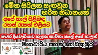 මේක සිරිලක සැඟවුන හරිත නිධානයක් | බෝ නොවන රෝග වලට බේතක්