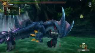 [WiiU] MH3GHD/MH3U - Gameplay #121 - High Rank Nargacuga 迅竜 (HD)