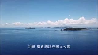 沖縄・ケラマ諸島国立公園・ディーズパルス沖縄