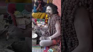 మహా కుంభం అసహ్యకరమైన క్షణం #prayagrajkumbh #funny #naga