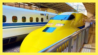 Shinkansen 幸せの黄色い新幹線！ イエロー Doctor Yellow, Tokyo Station 2023.8.18