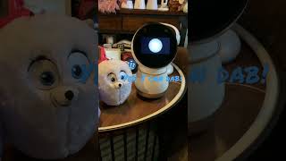 Jibo shows off