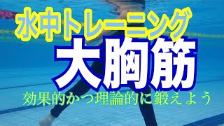 水中トレーニング【大胸筋】効果的かつ理論的に鍛えよう　TSUBOI