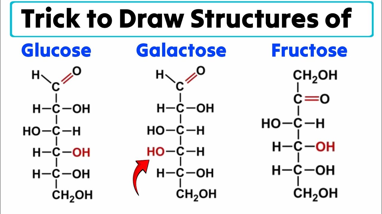 Structural Formula Of Glucose And Fructose
