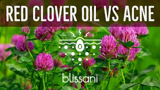 Red Clover vs Acne: blissani Naturals Skincare Secrets