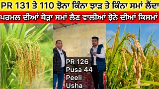 Paddy PR 131 \u0026 110 new varieties , ਪਰਮਲ ਝੋਨੇ ਦੀਆਂ ਨਵੀਆਂ ਕਿਸਮਾਂ