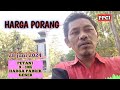 HARGA PORANG 28 JUNI 2024 NOTA GESER LOOS