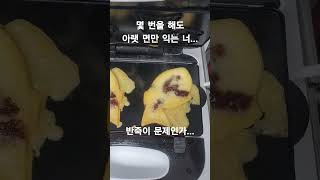 윗면은 절대 안익어!! / #와플메이커 #붕어빵만들기 #붕어빵 #vlog #일상 #브이로그