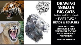 DRAWING ANIMALS - BIG & LITTLE CATS - PART 2 - LESSONS IN DESIGN & SKETCHING VALUE, TEXTURE & FORM