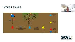 12 Understanding the Mechanisms of Soil Microbial Function