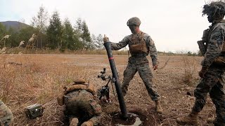 Marines Conduct Live Fire, Mass Casualty Evac - RD22