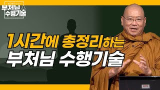 붓다빠라스님의 부처님 수행기술  16회 전체영상 [마지막회] -1시간만에 총정리 #불교수행 #알아차림#사념처 #사띠#위빠사나