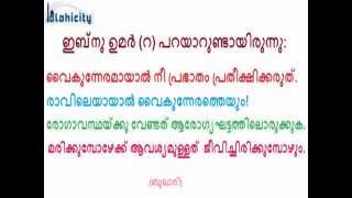 [Hadees 40]ഈ ലോകത്ത് നീയൊരു അപരിചിത നെപോലെയാവുക ; അല്ലെങ്കിൽ ഒരു വഴിപോക്കനെ പോലെ!