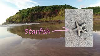 Enjoying Nature with open arms | Vetye Beach | Ratnagiri