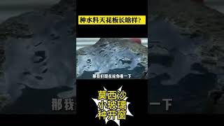 种水料天花板长啥样？玻璃种翡翠原石开窗，它的美已经无法用言语表达