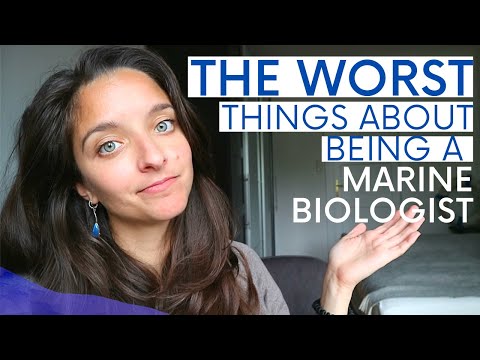 Why do so many people want to be a marine biologist?