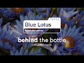 Beyond Purity: Discovering doTERRA Blue Lotus