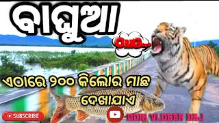 Baghua Dam //Baghua Dam Buguda/Baghua Dam Buguda Ganjam// #baghuadam#viral  #odiavlogerdsj #odiavlog