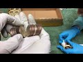 world’s most amazing coin roll hunt ever