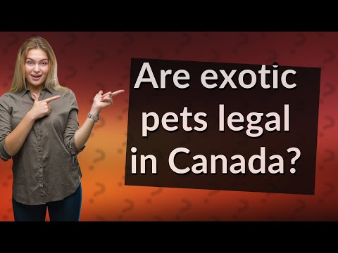 What exotic pets are legal in Ontario?