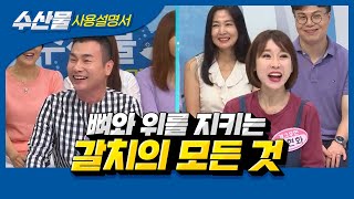 [수산물사용설명서] 한국인의 뼈와 위를 지키는 생선, 갈치의 모든 것!!!!