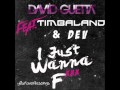 I Just Wanna Fuck- David Guetta ft. Timbaland & Dev