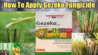 How To Apply Gezeko 75WG Fungicide