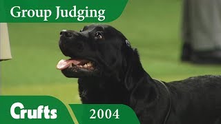 Labrador Retriever wins Gundog Group Judging at Crufts 2004