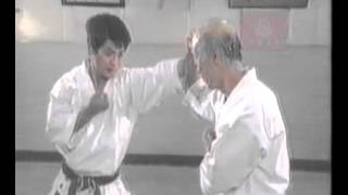 Kihon Kumite 5 - Gohonme - Explained