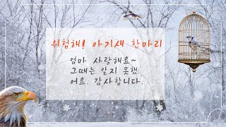 위험한 아기새 한마리의 여행기