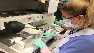 A Look Inside a Histotechnology Program