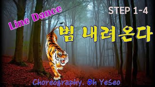 #범내려온다 # 라인댄스 #오예서 #Linedance  #Choreography. Oh YeSeo, #예서라인댄스 Yeseo Linedance