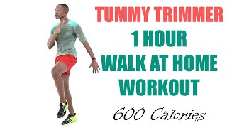 Tummy Trimmer 1 Hour Walk at Home Workout 🔥 600 Calories 🔥
