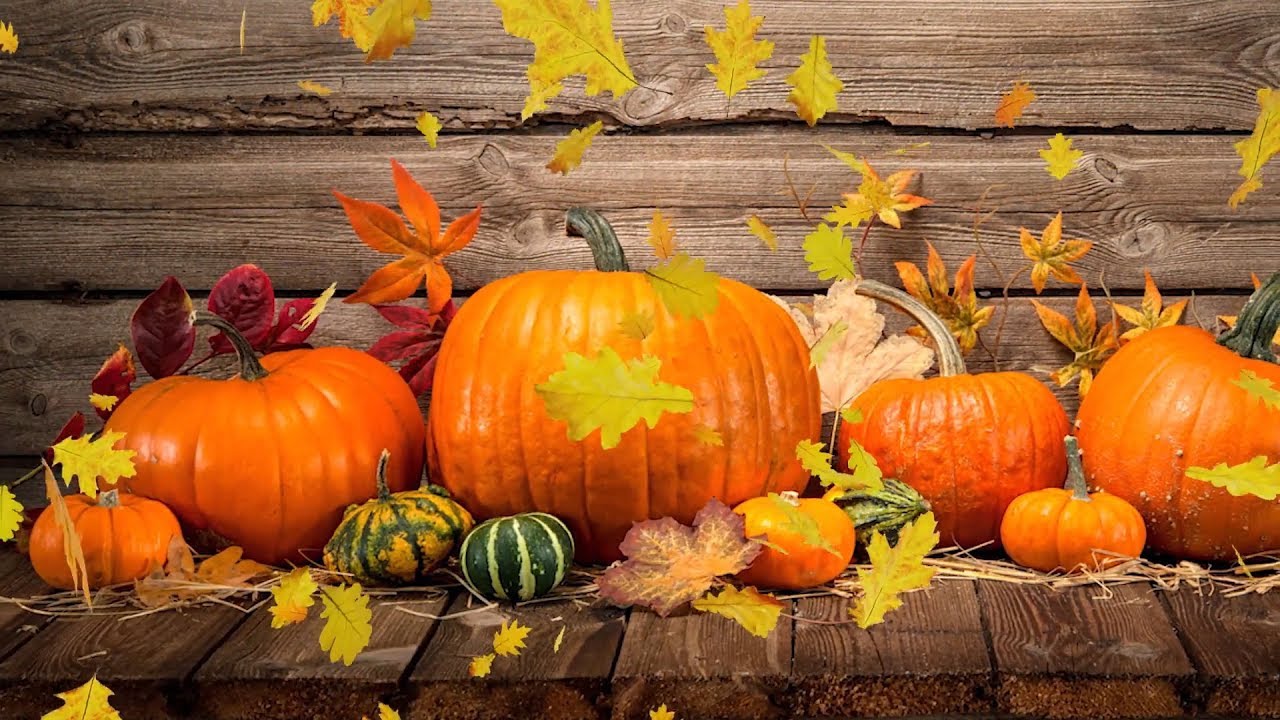 Fall Relaxing Backgrounds