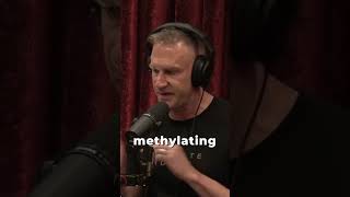 Everyone Should Take A Methylated Multivitamin with Gary Brecka and Joe Rogan