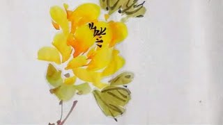 5.4.15不同黄牡丹画法，牡丹设色画法，牡丹，国画快速入门