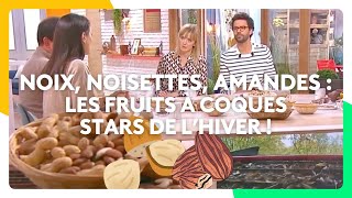 Noix, noisettes, amandes : les fruits à coques stars de l’hiver !