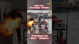 Украина разрабатывает ракеты Трембита Бродяга #трембита #армиярф #историявойны #приколы #армияроссии