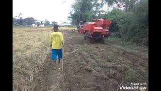 kombi sawah Gatra lovol gch 858 pindah lahan