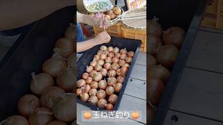 玉ねぎ釣り🧅🧅🧅[淡路島納涼祭]